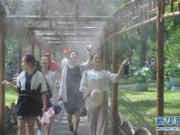  夏日高温享清凉