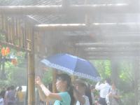  夏日高温享清凉
