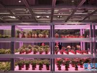  中科院在深圳集中展示应用成果