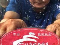  北京8万公车贴标“亮身份”