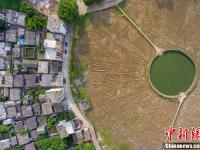 航拍海口四百年古村 规划布局似“太极图”