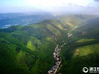  浙江长兴：绿色经济助农增收