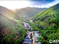  浙江长兴：绿色经济助农增收