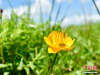  【新时代·幸福美丽新边疆】“最美乡村”脑干宝力格嘎查 来自草原的明信片