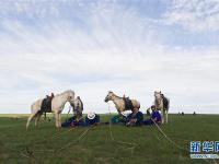  皎皎白马奔驰草原