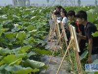  河北隆尧：夏日荷塘引客来