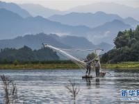  千岛湖开渔展现“水清鱼欢”美丽生态