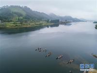  千岛湖开渔展现“水清鱼欢”美丽生态