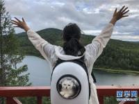  阿尔山夏日美景引游人