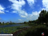  雨后宁阳复圣公园碧水蓝天 高颜值宛如童话世界