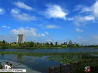  雨后宁阳复圣公园碧水蓝天 高颜值宛如童话世界