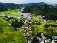  桂西山村秋色美