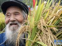  盘点最美丰收季里“刷屏”的笑脸