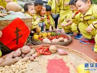  金秋娃娃乐丰收
