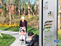  城市“森林”公园“长成记”——北京丰台两位七旬老人的影像纪录片