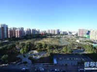  城市“森林”公园“长成记”——北京丰台两位七旬老人的影像纪录片