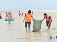  福建晋江：海滩义工 清理垃圾