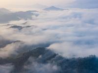  航拍大别山：竹海连天 秋色如画