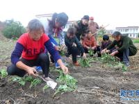  秋收农民运动会趣味多