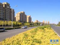  从“风沙城”到东北“水乡”——吉林白城建设海绵城市 破解干旱缺水困局