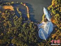  古都南京秋意浓