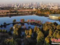 古都南京秋意浓