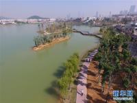  整治水环境 长沙后湖换新颜