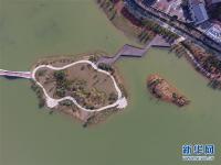  整治水环境 长沙后湖换新颜