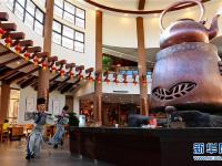  大茶壶下展茶艺