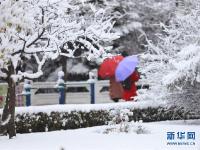  甘肃平凉：冰雪世界美如画