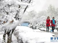  甘肃平凉：冰雪世界美如画