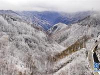  秦岭初雪