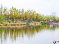 邵阳：市民乐享初冬暖阳