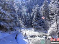  新疆天山天池大雪初晴美如画