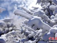  新疆天山天池大雪初晴美如画