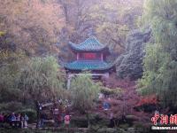  长沙岳麓山枫叶进入最佳观赏期