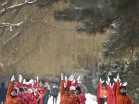 雪霁晨起