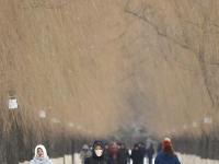  雪霁晨起