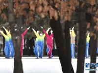  雪霁晨起