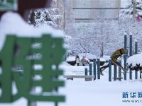  山东多地迎来降雪