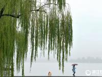  杭州初雪过后 雨雾收尾