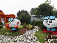  杭州：扮靓街头迎接世游赛