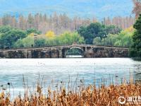 西湖冬景美如画