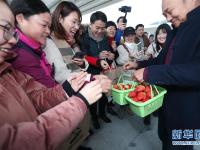  下了高铁采摘游