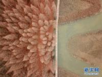  古堰长堤层林尽染
