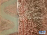  古堰长堤层林尽染