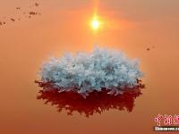  山西运城盐湖绽放美丽“硝花”