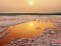  山西运城盐湖绽放美丽“硝花”