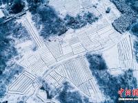  浙江浦江雪后银装素裹