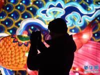 中国彩灯点亮科隆冬夜